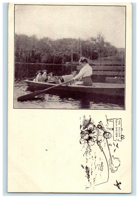 1906 Dogs and Woman Rowing Boat, Tolland, Massachusetts MA Antique Postcard