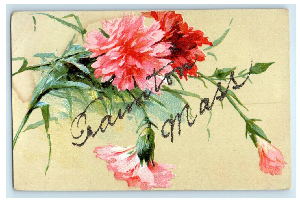 1907 Taunton Massachusetts MA Flowers Glitter Posted Antique Postcard