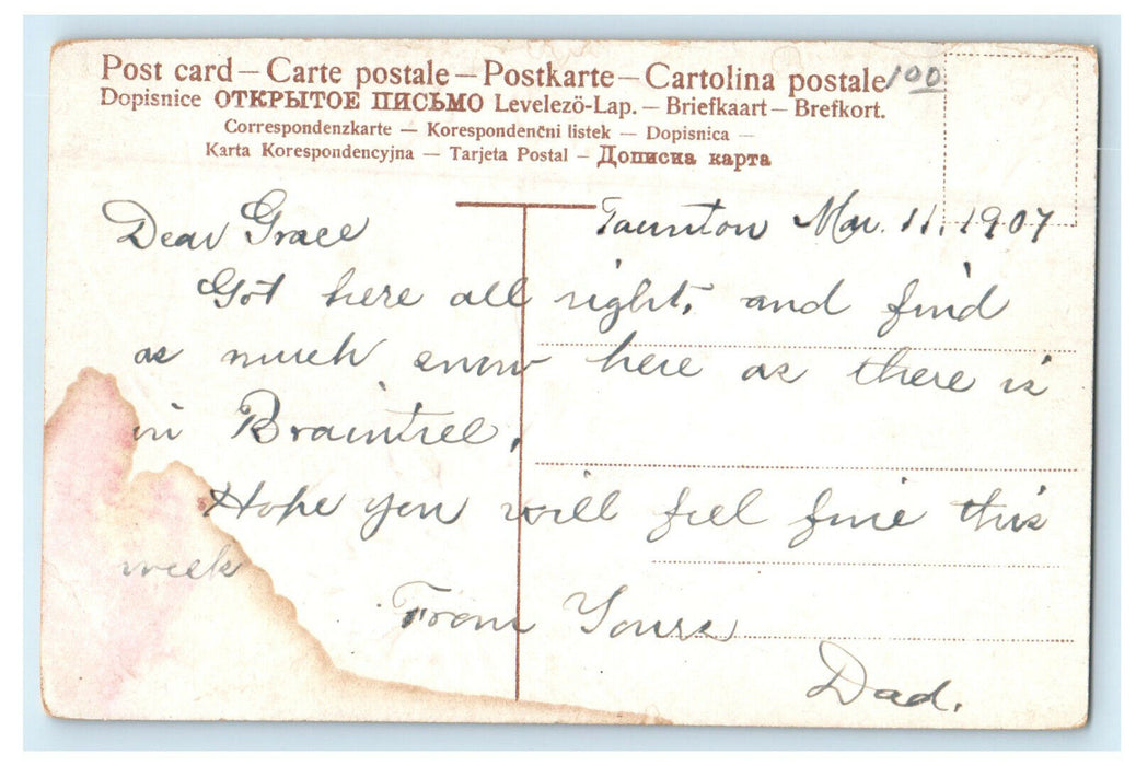 1907 Taunton Massachusetts MA Flowers Glitter Posted Antique Postcard