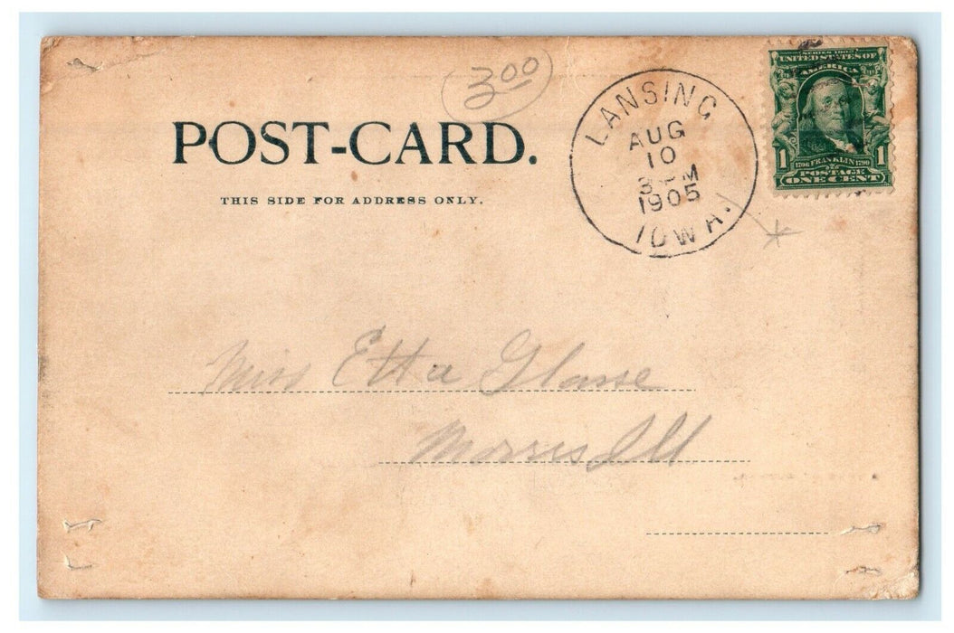 1905 A Loaf Of Cotton Lansing Iowa IA Posted Antique  Postcard