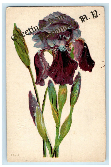 1909 Greetings from Napanoch, New York NY Black Floral Antique Postcard