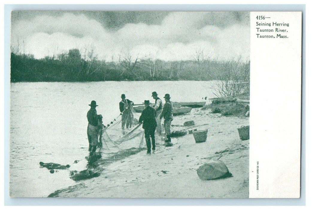 1905 Seining Herring, Taunton River, Taunton, Massachusetts MA Antique Postcard
