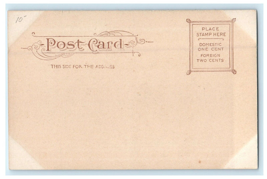 1905 Seining Herring, Taunton River, Taunton, Massachusetts MA Antique Postcard