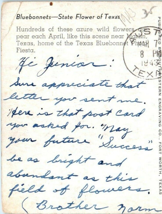 1943 Bluebonnets State Flower Austin Texas TX, WW2 Soldier Mail Postcard