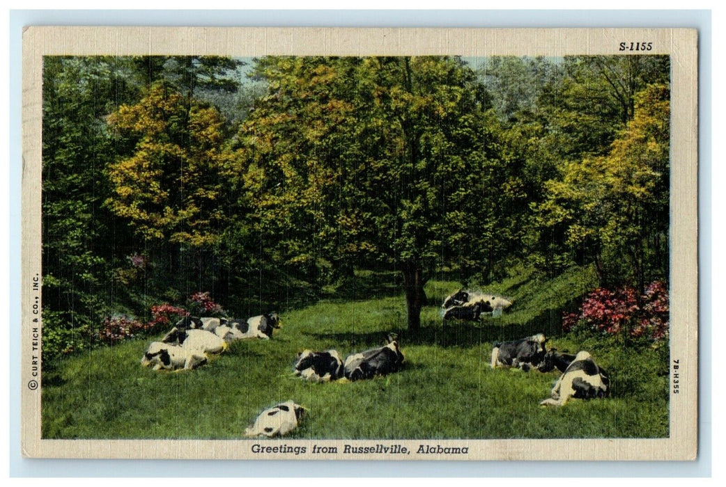 1952 Greetings From Russellville Alabama AL Vintage Postcard