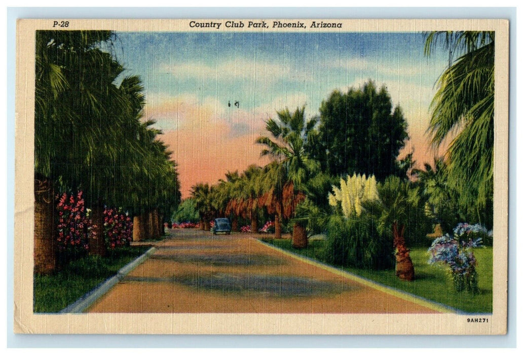 1957 View Of Country Club Park Car Phoenix Arizona AZ Vintage Postcard