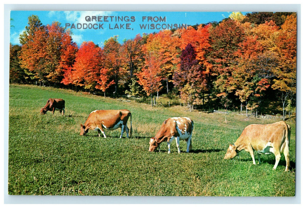 c1950s Cows Scene, Greetings from Paddock Lake Wisconsin WI Unposted Postcard