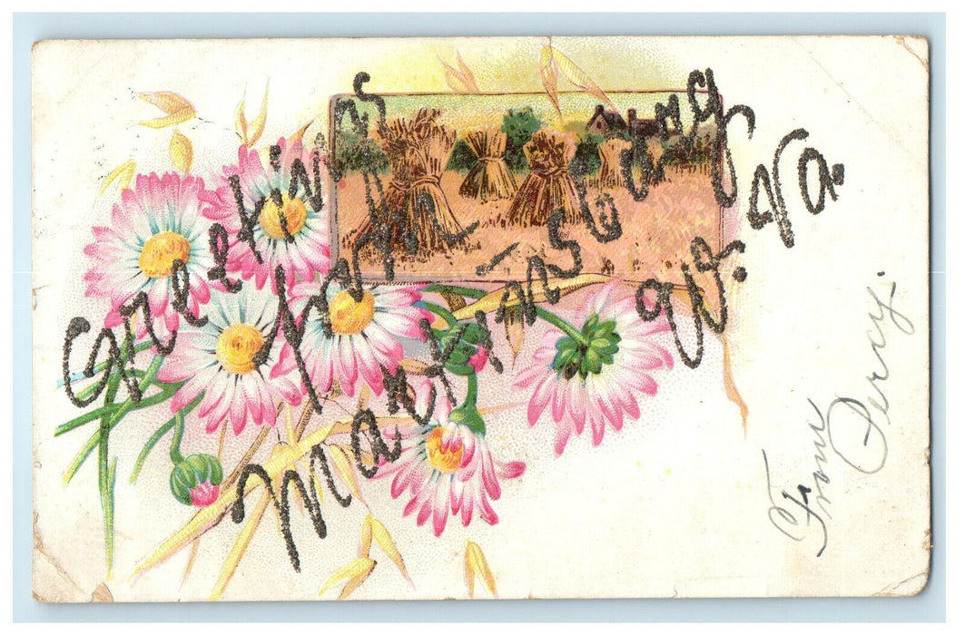 1907 Greetings from Martinsburg West Virginia WV Van Clevesville WV Postcard