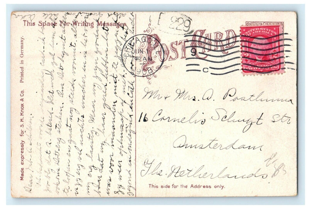 1908 A View Of Driveway Lincoln Park Chicago Illinois IL Antique Postcard