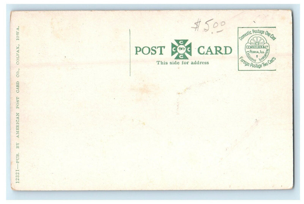 c1910's Victoria Sanitarium Building Street View Colfax Iowa IA Antique Postcard