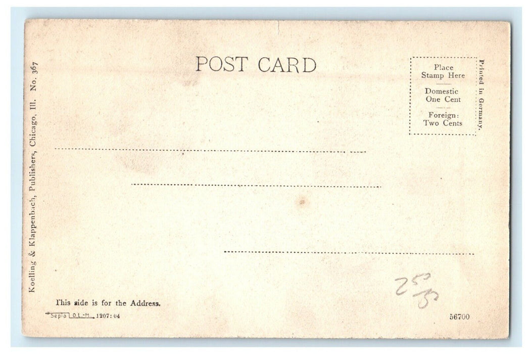 c1905 Chicago Illinois IL, Auditorium Annex Building Horse and Buggy Postcard