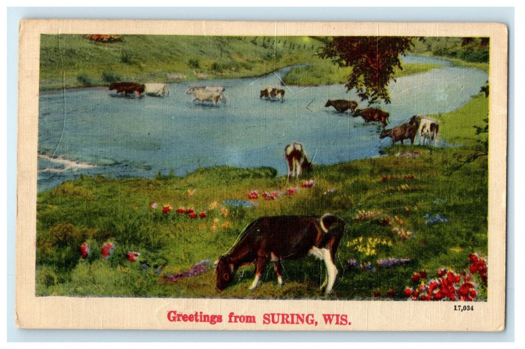 1948 Greetings From Suring Wisconsin WI Vintage Postcard