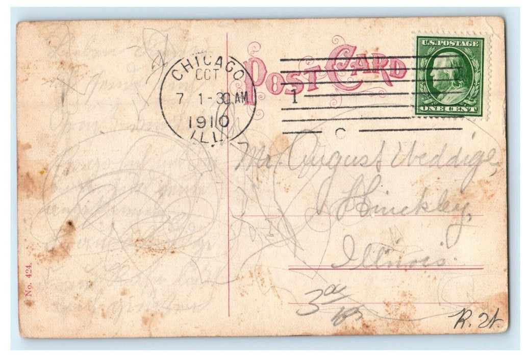 1910 Antelopes Lincoln Park Chicago Illinois IL Posted Antique Postcard