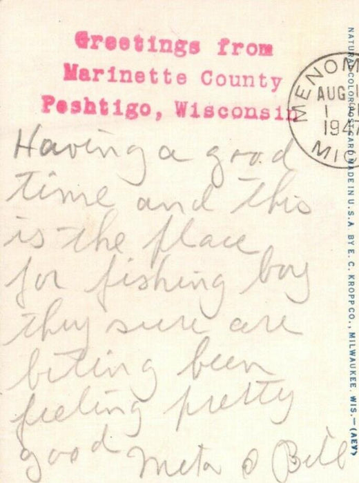 1947 Greetings From Marinette County Peshtigo Wisconsin WI Cow View Postcard