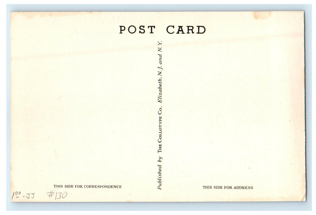 c1940's The Elk Gift Shop Whitcomb Summit Mohawk Trail Massachusetts MA Postcard