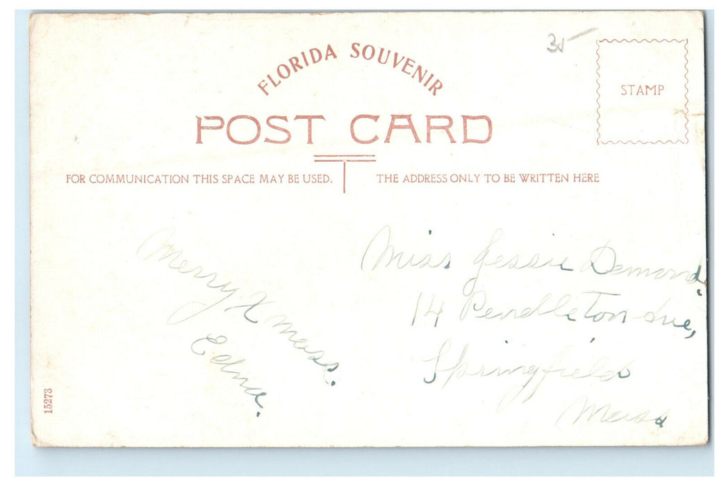 c1905s A Branch of Grapefruit Florida FL Antique Posted Postcard