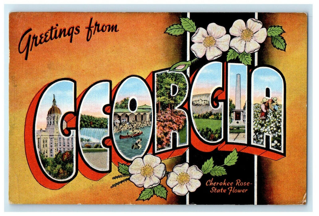 1949 Greetings From Columbia Georgia GA, Cherokee Rose State Flower Postcard