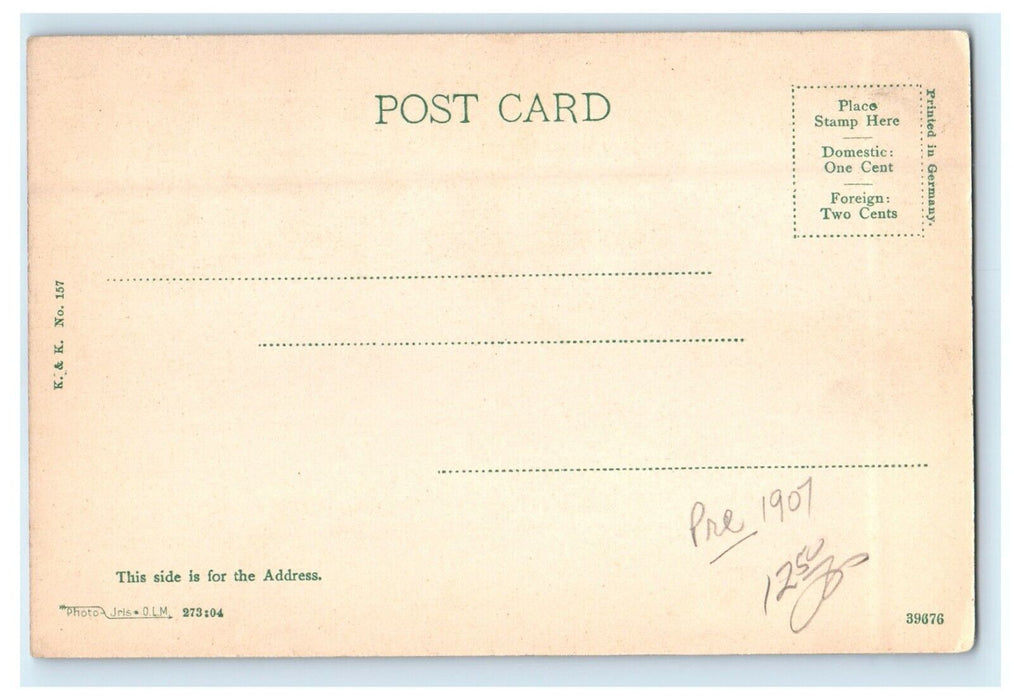c1905 Todd Seminary For Boys Woodstock Illinois IL Unposted Antique Postcard