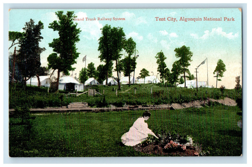 c1910 Grand Trunk Railway System Tent City Algonquin National Park Postcard