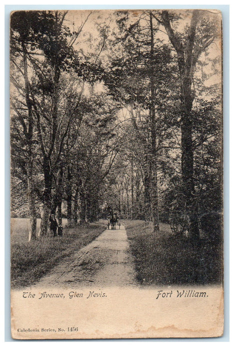 c1910 The Avenue Glen Nevis Fort William Ontario Canada Unposted Postcard