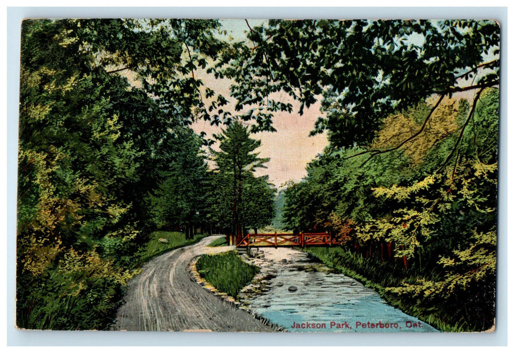 1906 Jackson Park Peterboro Ontario Canada Antique Posted Postcard