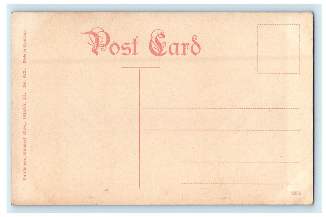 c1910s Ashburn Canyon Two Miles Above Starved Rock Illinois IL Unposted Postcard