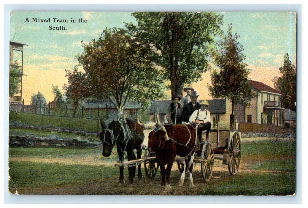1912 A Mixed Team In The South Horse And Ox Wagon Cart Ocala Florida FL Postcard