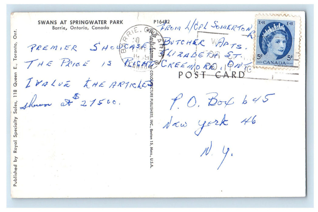 c1960s Swans at Swingwater Park Barrie Ontario Canada Vintage Postcard