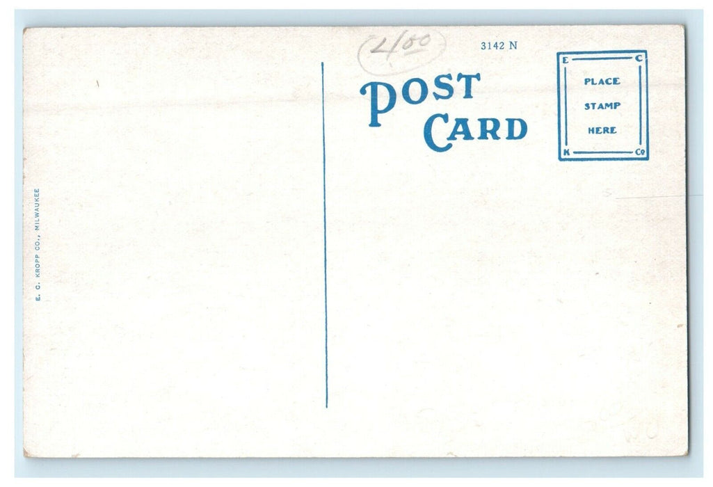 c1910's Allfree Building Street View Newton Iowa IA Unposted Antique Postcard