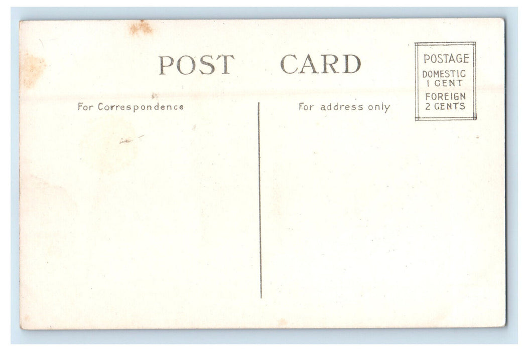 c1910 Toronto Power Co. Niagara Falls Ontario Canada Unposted Antique Postcard