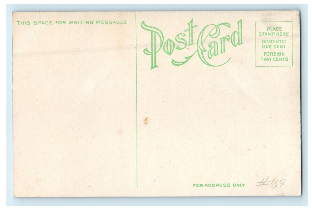 c1910's Lincoln Park Elephant Scene Chicago Illinois IL Antique Postcard