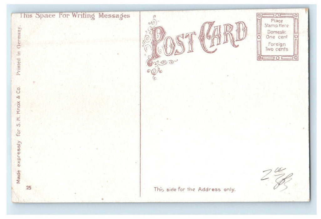 c1910's High Bridge Lincoln Park Chicago Illinois IL Unposted Antique Postcard