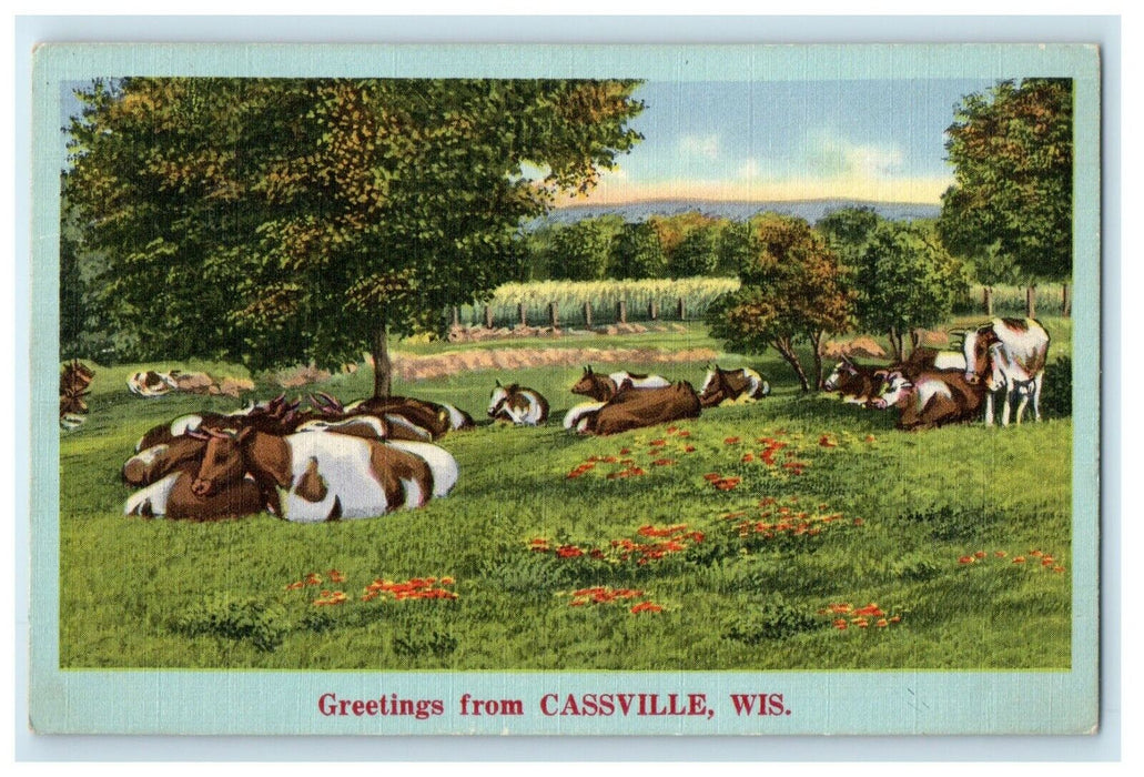 1954 Greetings From Cassville Wisconsin WI Vintage Postcard