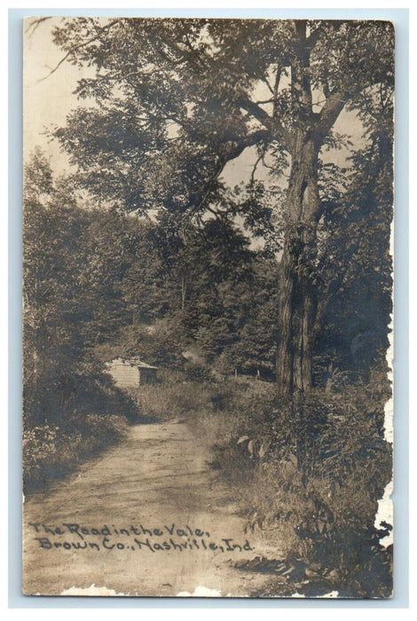 The Road In The Vale Brown Co. Nashville Indiana IN RPPC Photo Vintage Postcard
