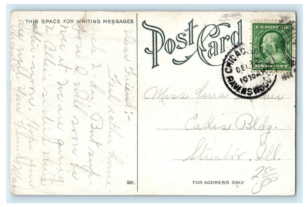 1909 Greetings From Havenswood Chicago Illinois IL, Flowers Postcard