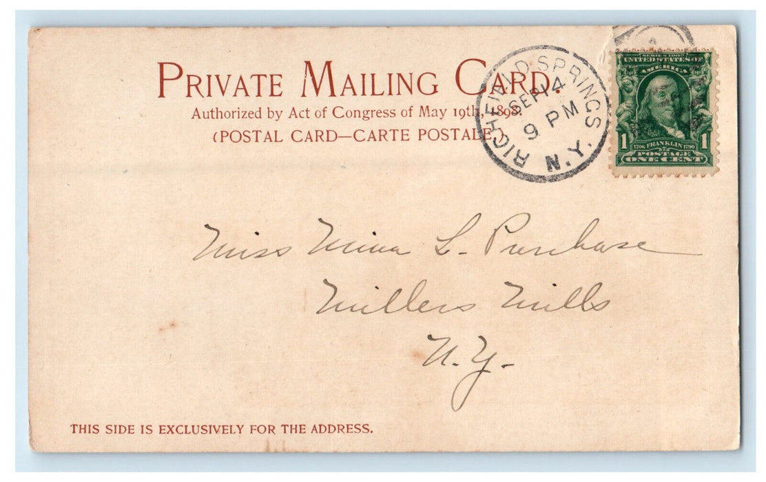 1905 Canadarago Lake Near Richfield Springs NY PMC Posted Antique Postcard