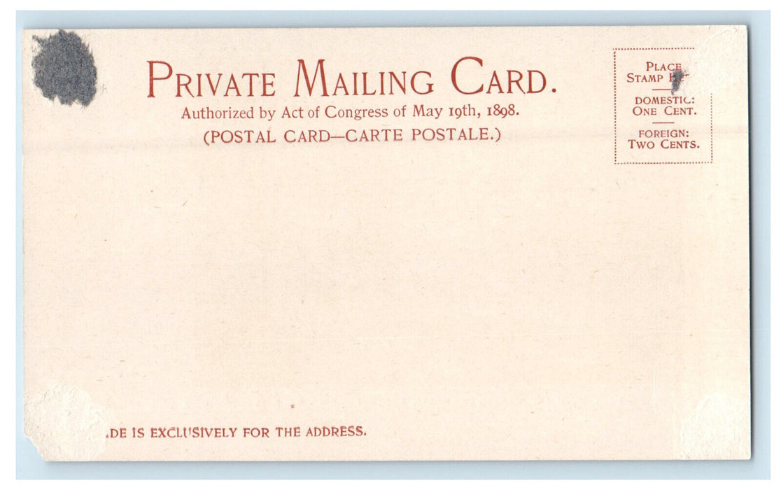 c1900s Dartmouth and Wentworth Halls, Dartmouth College NH PMC Postcard
