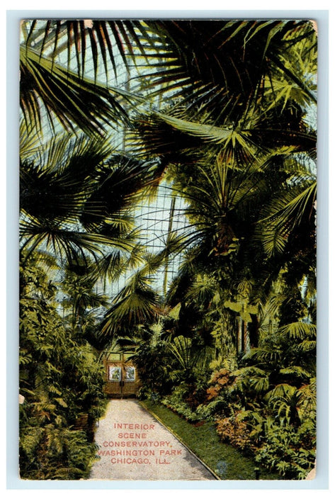 1908 Interior Scene Conservatory Washington Park Chicago Illinois IL Postcard