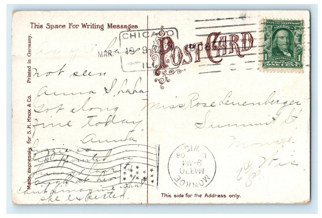 1908 Interior Scene Conservatory Washington Park Chicago Illinois IL Postcard