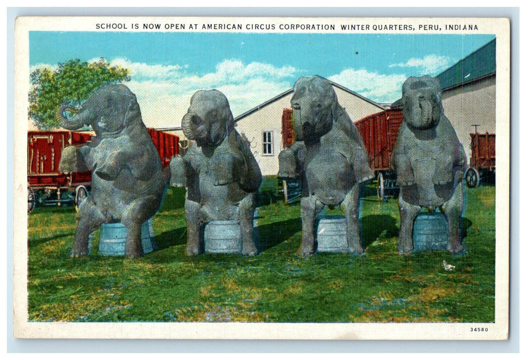 c1920s Four Big Elephants at American Circus Corporation Peru IN Postcard