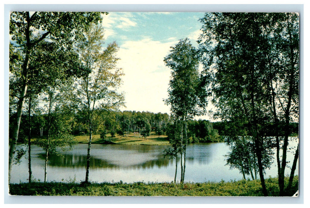 1970 Canadian Outdoors Greetings from Crosby Ontario Canada Postcard