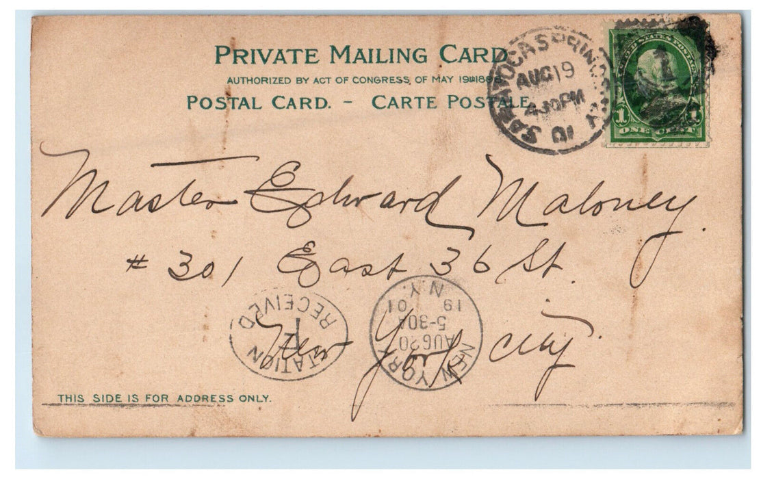 1901 Grand Union Hotel Park, Greeting from Saratoga Springs NY Postcard
