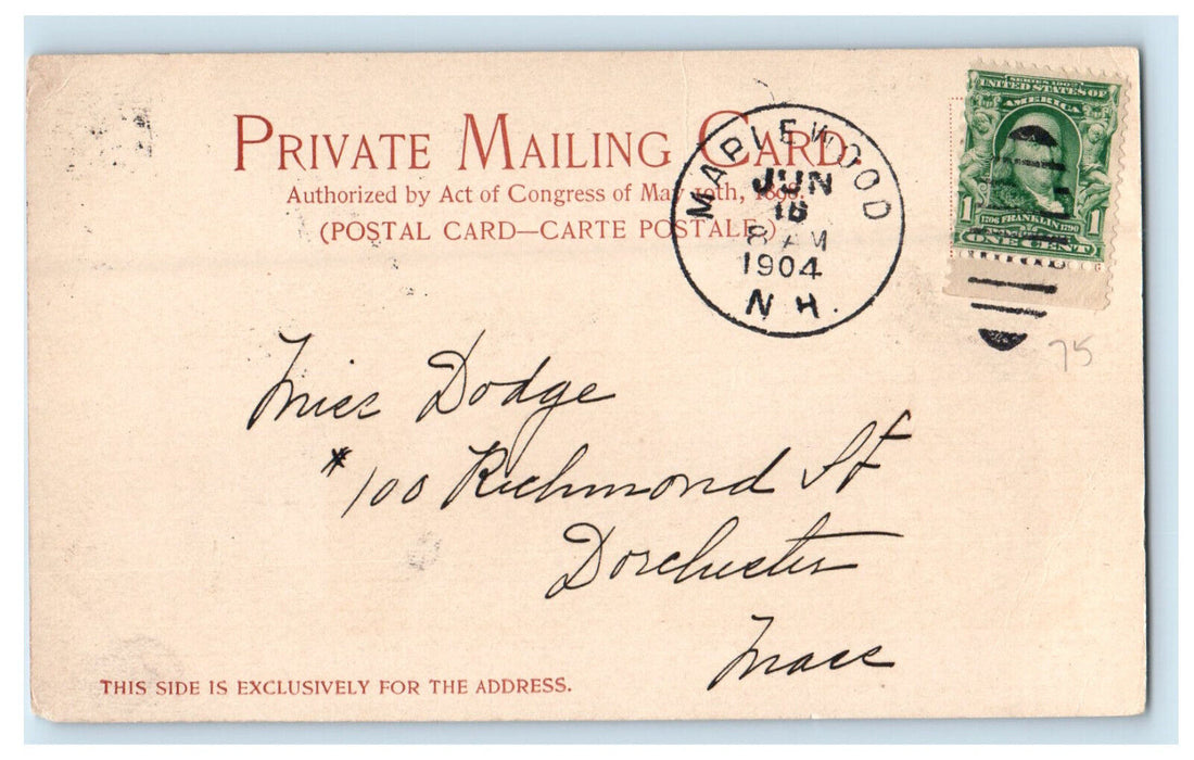 1904 Mt Garfield from Ammonoosuc White Mountains NH Maplewood NH PMC Postcard