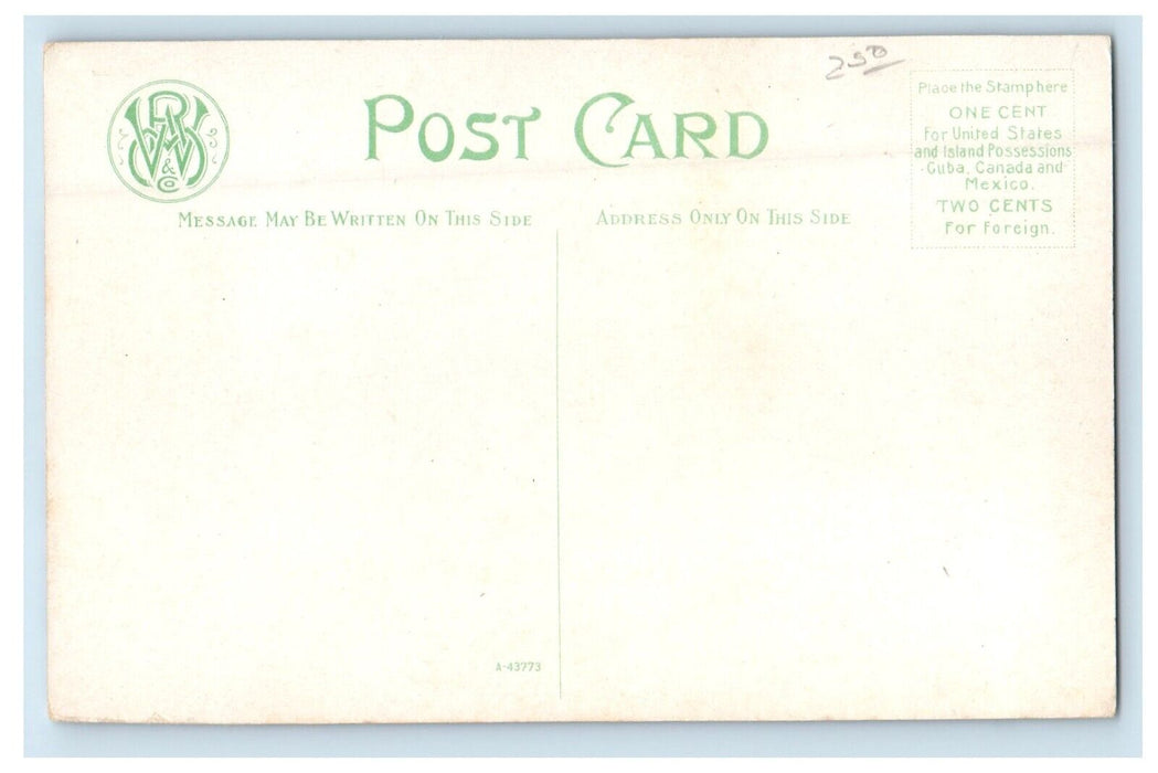c1910's New High School Building Campus Binghamton New York NY Antique Postcard