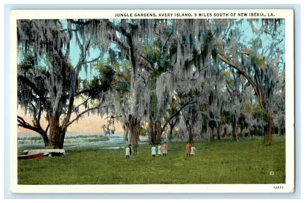 c1930's Jungle Gardens Avery Island South Of New Iberia Louisiana LA Postcard