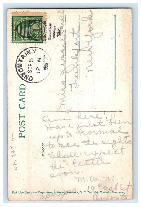 1909 Lower Dam, Milling Co. Oneonta New York NY Posted Antique Postcard