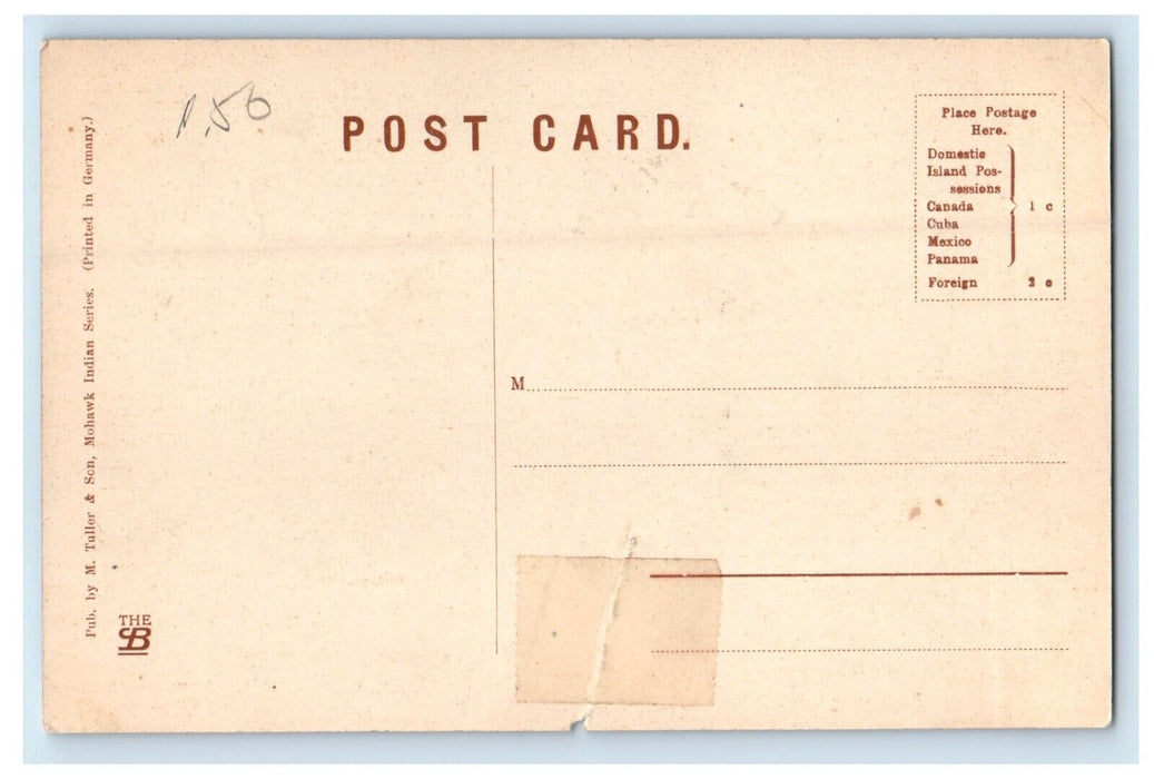 c1910's Richfield Springs NY, Lake House Docks Canadarago Lake Antique Postcard