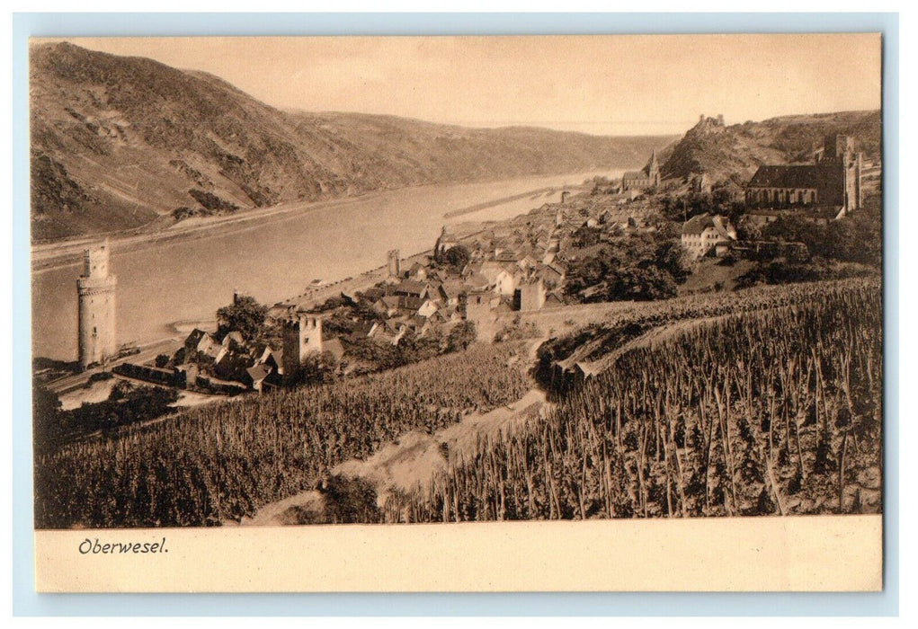 c1910's Aerial View Of Oberwesel Germany Antique Postcard