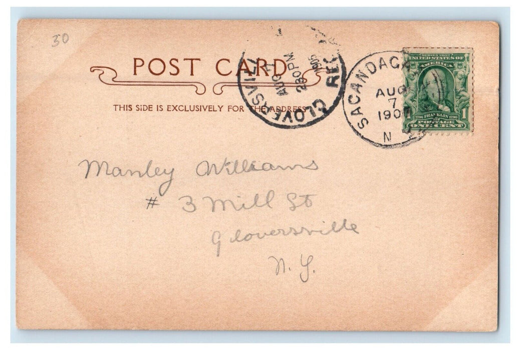 1905 Looking Southeast From High Rock Lodge Sacandaga Park New York NY Postcard