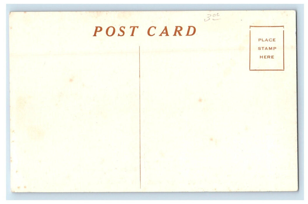 c1910's Woodchuck Lodge Roxbury In The Catskills NY Unposted Antique Postcard